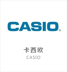 ŷ(Casio)